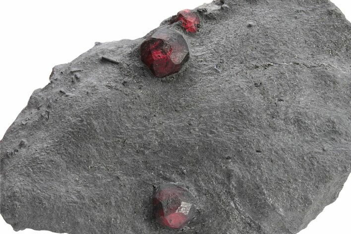 Plate of Three Red Embers Garnets in Graphite - Massachusetts #225913